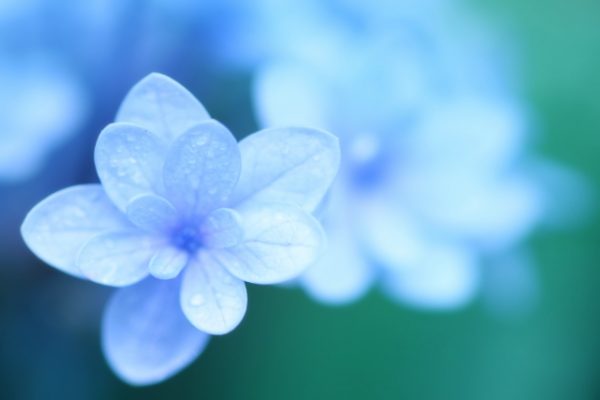 ミネラル不足で老化する？！