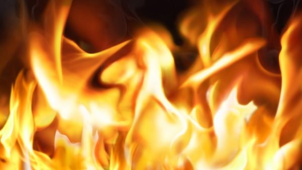 若返りナンバー1メニュー